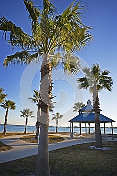 Palms & Pavillion, Gulf Coast