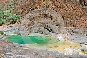 Palms and red rocks in the oasis of Dirhur, natural pool, Socotra Island, Yemen