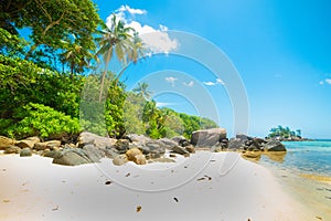 Palms and rocks by the sea in Anse Royale