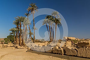 Palms in the ruins of Amun Temple enclosure in Karnak, Egy