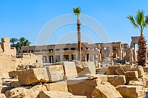 Palms on ruins of the ancient Karnak temple. Luxor, Egypt