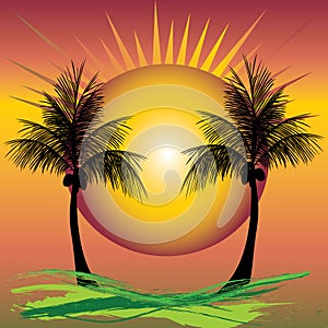 To coconut palm trees sunset