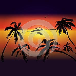 palms and sunset vector background for text, tourism, leisure, s