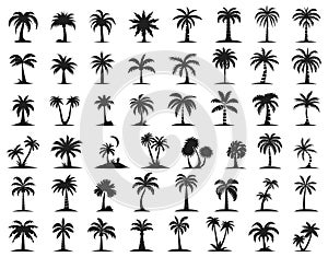 Palms trees icons. Beach palm tree bending black silhouettes isolated, coco nuts paradise plants vectorized graphics on