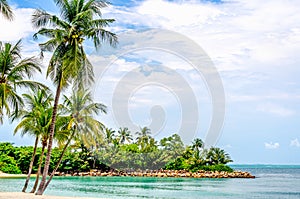 Palms and tropical beach with white sand. Tropical Holiday. Sentosa Island, Singapore. tropical paradise beach with white sand and