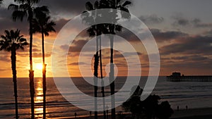 Palms and twilight sky in California USA. Tropical ocean beach sunset atmosphere. Los Angeles vibes.