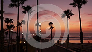 Palms and twilight sky in California USA. Tropical ocean beach sunset atmosphere. Los Angeles vibes.