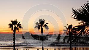 Palms and twilight sky in California USA. Tropical ocean beach sunset atmosphere. Los Angeles vibes.