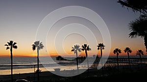 Palms and twilight sky in California USA. Tropical ocean beach sunset atmosphere. Los Angeles vibes.