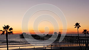 Palms and twilight sky in California USA. Tropical ocean beach sunset atmosphere. Los Angeles vibes.