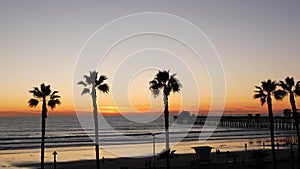 Palms and twilight sky in California USA. Tropical ocean beach sunset atmosphere. Los Angeles vibes.