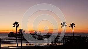 Palms and twilight sky in California USA. Tropical ocean beach sunset atmosphere. Los Angeles vibes.