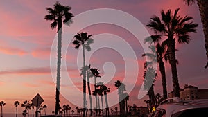 Palms and twilight sky in California USA. Tropical ocean beach sunset atmosphere. Los Angeles vibes.