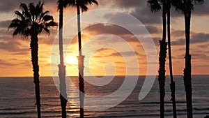 Palms and twilight sky in California USA. Tropical ocean beach sunset atmosphere. Los Angeles vibes.