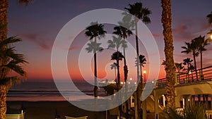 Palms and twilight sky in California USA. Tropical ocean beach sunset atmosphere. Los Angeles vibes.