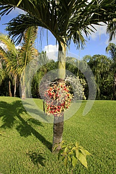 The Palms at Vidanta Riviera Maya