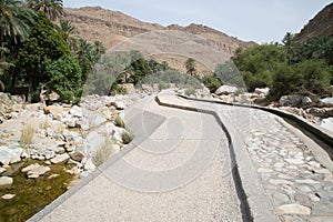 Palms in Wadi Bani Khalid photo