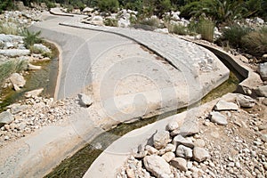 Palms in Wadi Bani Khalid photo