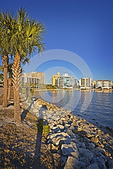 Palms & Waterfront Property, Gulf Coast