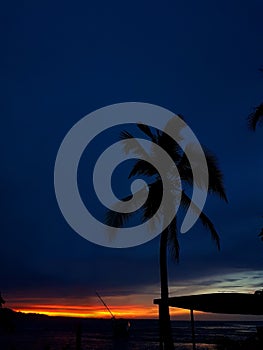 Palmtree contrast, Beach Paradise, Puerto Viejo