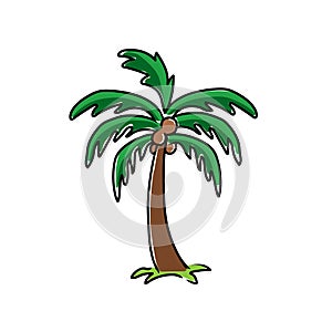 Palmtree logo iocn vector isolated photo