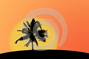 Palmtree silhouette