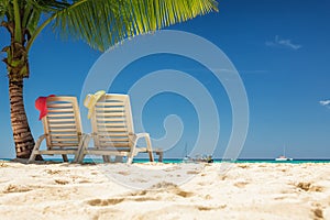 Caribbean paradise beach with palm trees, Dominicana, Punta Cana, Saona island. Best travel destination for summer holiday. photo