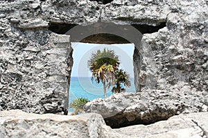 Palmtrees behind ruins Tulum Mexico