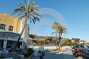 Palmtrees in Cabopino, Marbella.