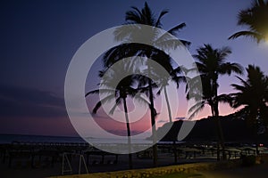 Palmtrees in a pink sky