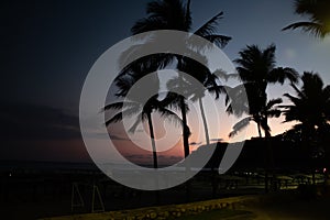 Palmtrees in a pink sky