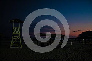 Palmtrees in a pink sky