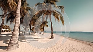 Palmy Trees and a Glistening Sandy Beach Create a Mesmerizing Scene