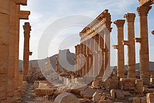 Palmyra