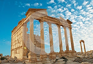 Palmyra