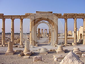 Palmyra