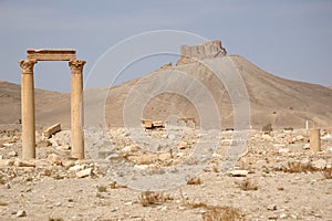 Palmyra