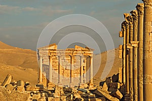 Palmyra