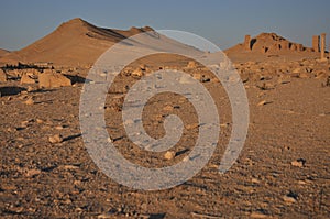 Palmyra and desert