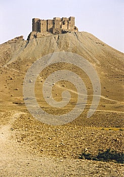 Palmyra desert ruins arab fort syria