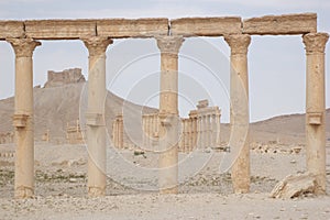 Palmyra - Qalat Ibn Maan