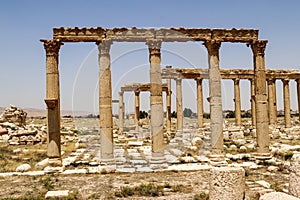 Palmyra ruins in Syria after ISIS was defeated in 2019