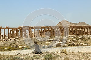 Palmyra ruins in Syria after ISIS was defeated in 2020