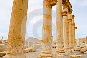 Palmyra Ruins - Syria