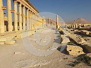 Palmyra, Syria