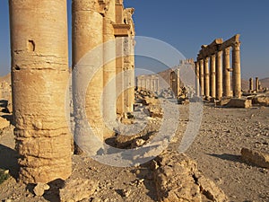 Palmyra, Syria