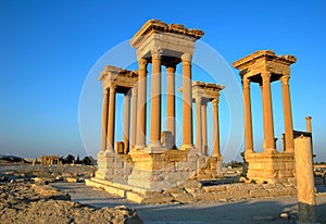 Palmyra towers