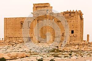 Palmyre Syria 2009 The ruins of an ancient city dating from the Roman period