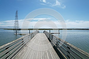 Palo alto baylands, California photo