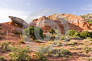 Palo Duro Canyon photo